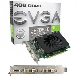 EVGA Geforce Gt730 4g Ddr3 VGA