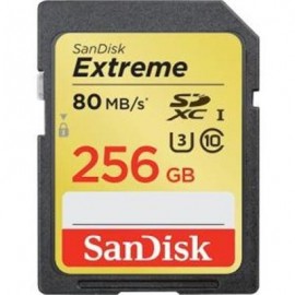 SanDisk 256gb Ancin Extreme Sd